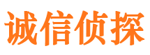 武进私家调查公司